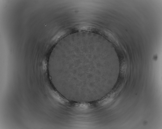 X0000097000282200802151421