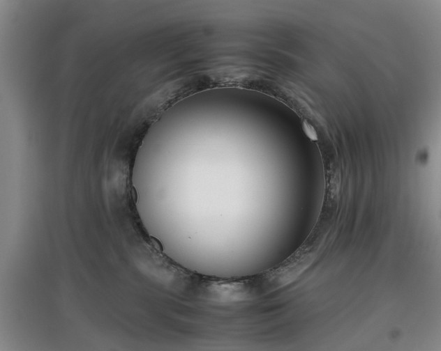 X0000097000283200802151421