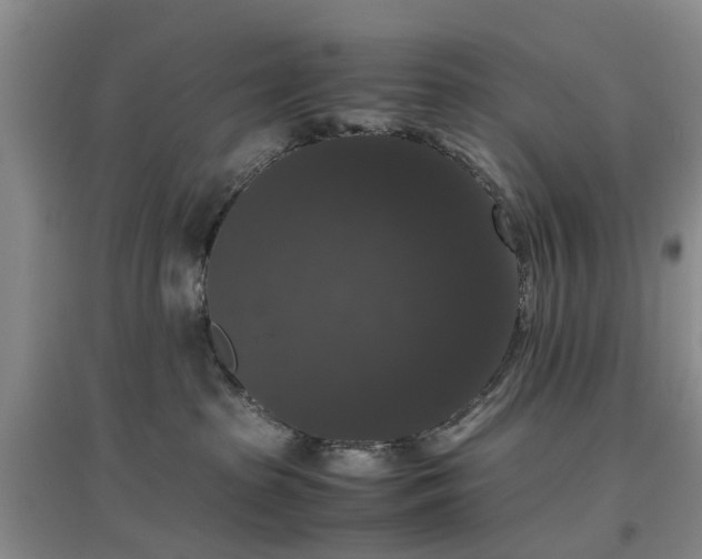 X0000097000285200802151421