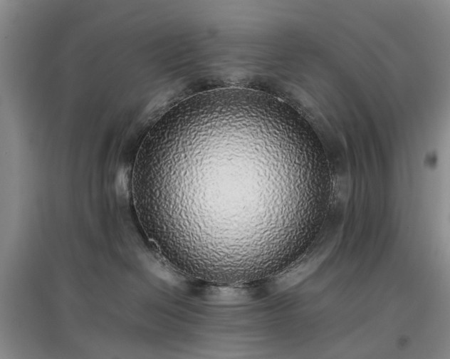 X0000097000286200802151421