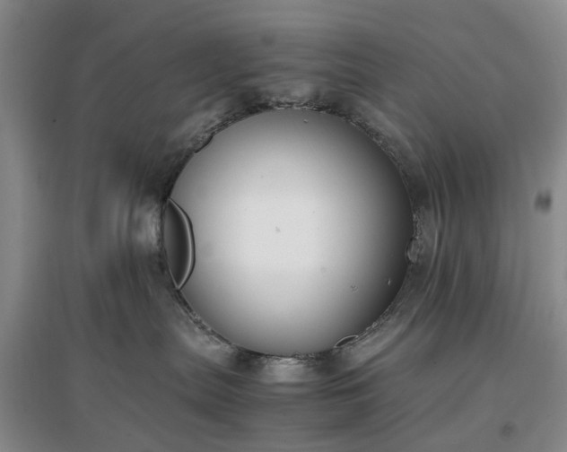 X0000097000287200802151421