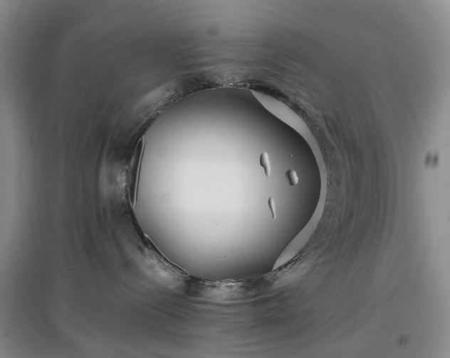 X0000097000288200802151421