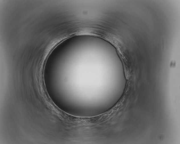 X0000097000289200802151420