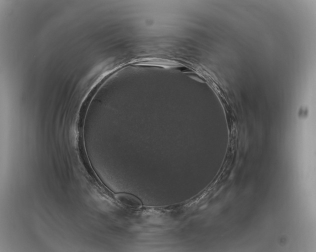 X0000097000290200802151420