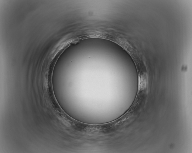 X0000097000291200802151420