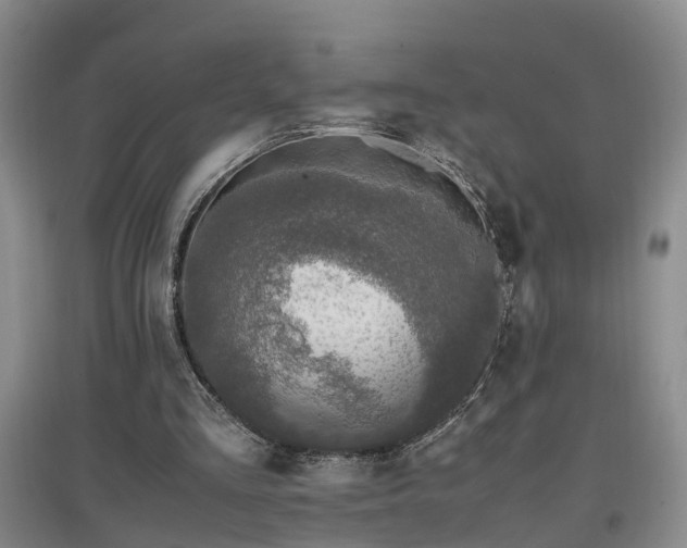 X0000097000293200802151420