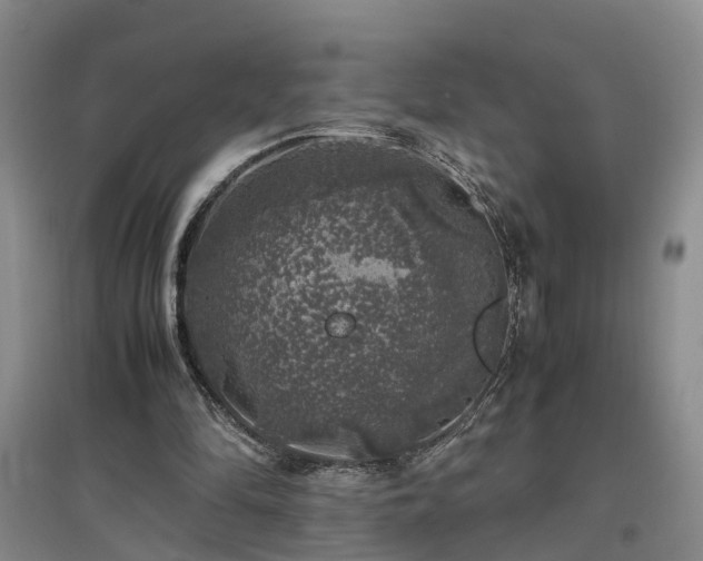 X0000097000294200802151420