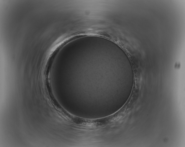 X0000097000295200802151420