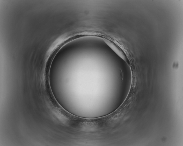 X0000097000296200802151420