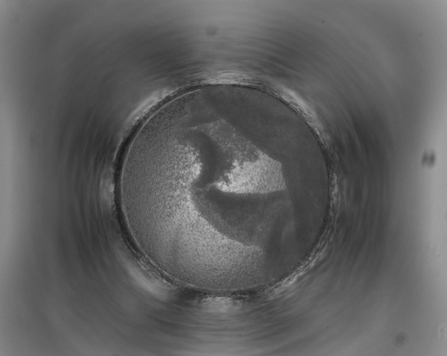 X0000097000298200802151420