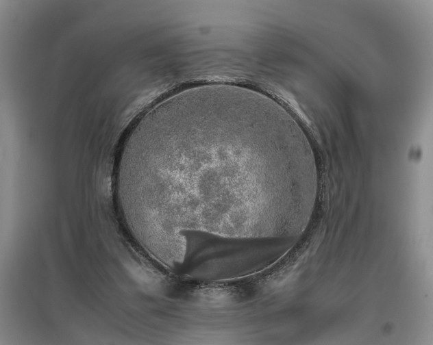 X0000097000299200802151420