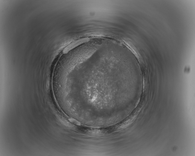 X0000097000301200802151420