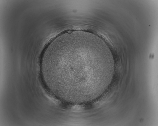 X0000097000303200802151420