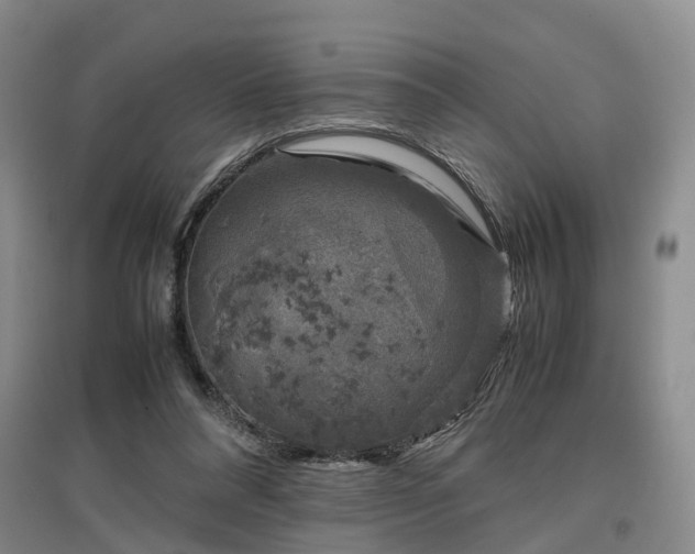 X0000097000304200802151420