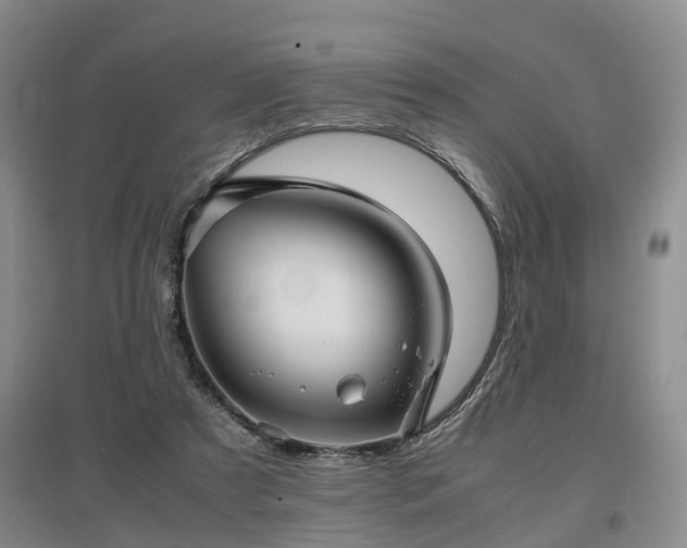X0000097000305200802151420