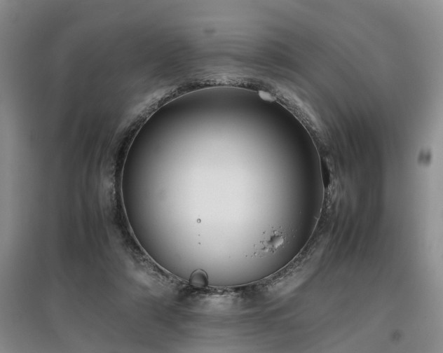 X0000097000306200802151420