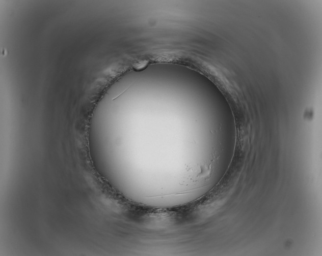 X0000097000307200802151420