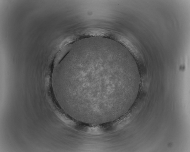 X0000097000309200802151420