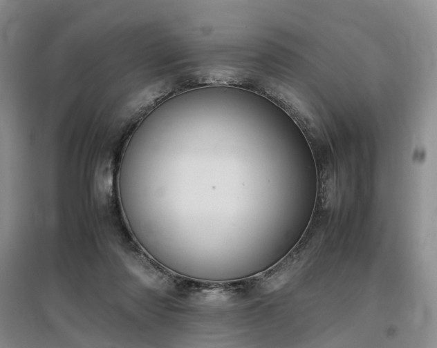 X0000097000310200802151420