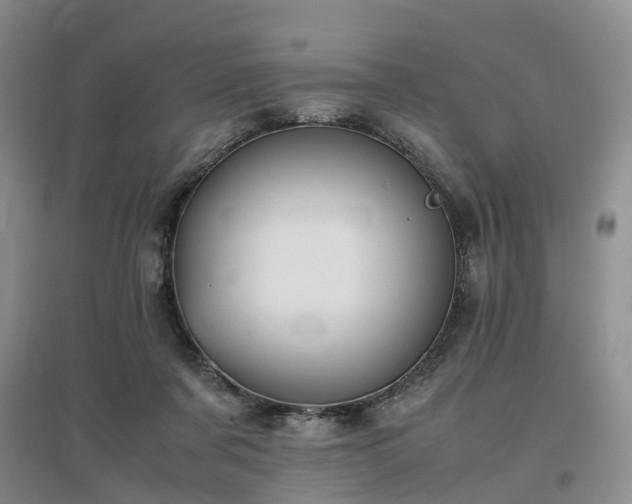 X0000097000311200802151420
