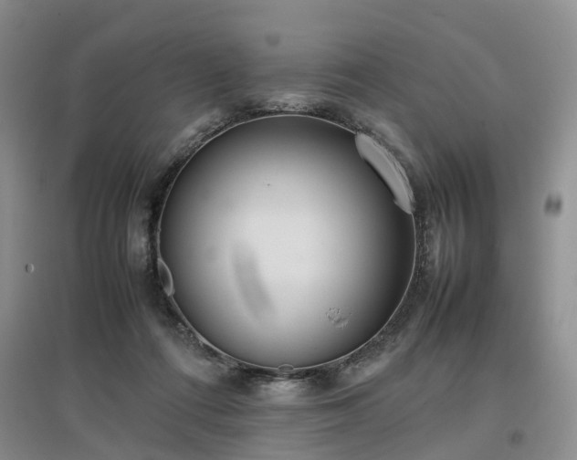 X0000097000312200802151420
