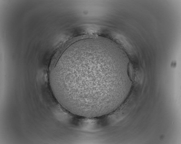 X0000097000313200802151420