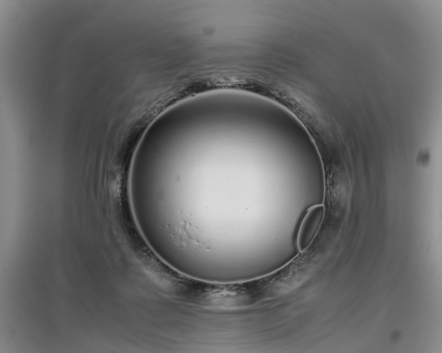 X0000097000315200802151420
