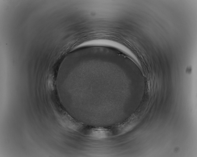 X0000097000316200802151420