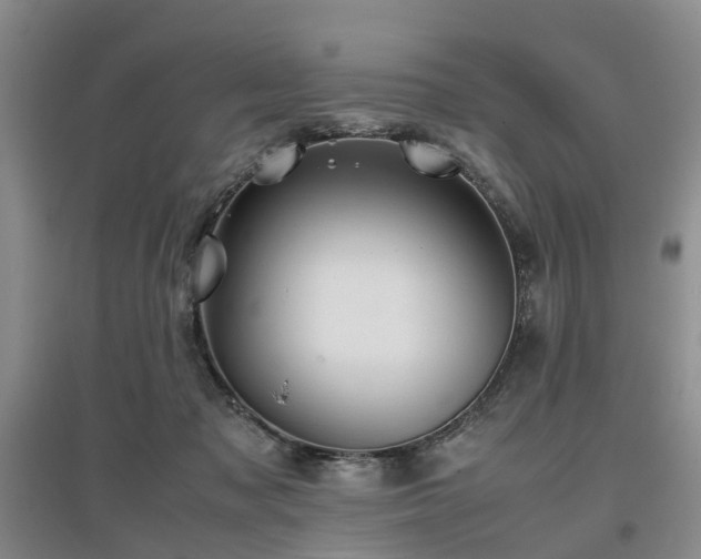 X0000097000317200802151420