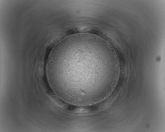 X0000097000319200802151420
