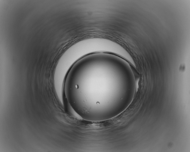 X0000097000320200802151420