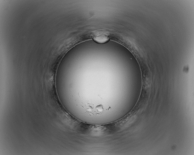 X0000097000321200802151420