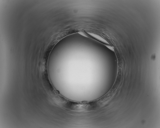 X0000097000323200802151420