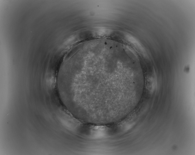 X0000097000324200802151420