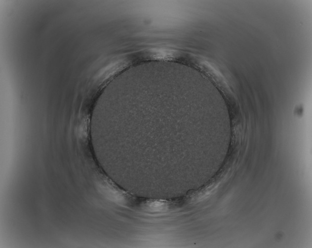 X0000097000325200802151420