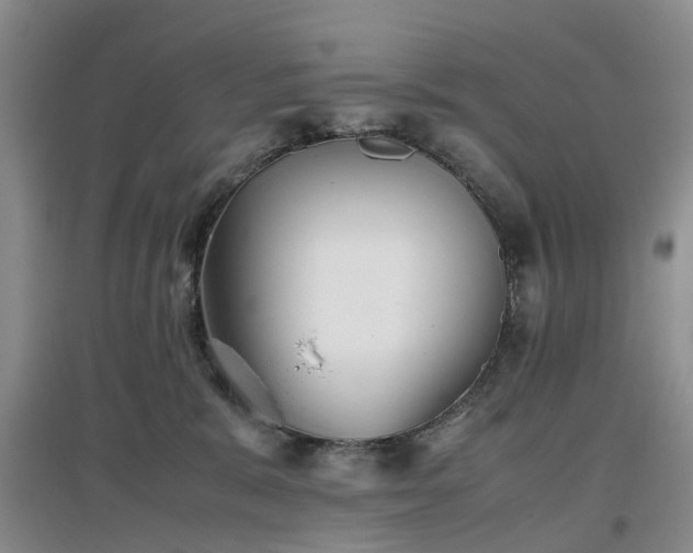 X0000097000327200802151420
