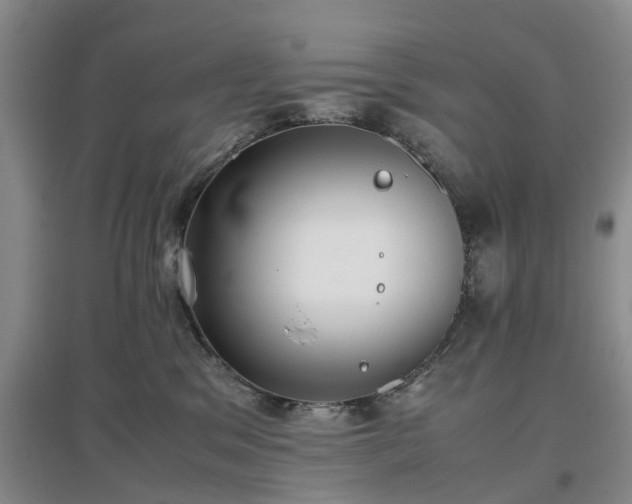 X0000097000329200802151419