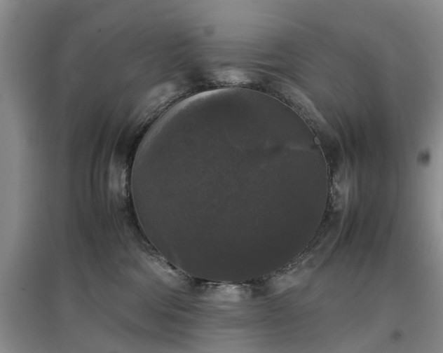 X0000097000330200802151419