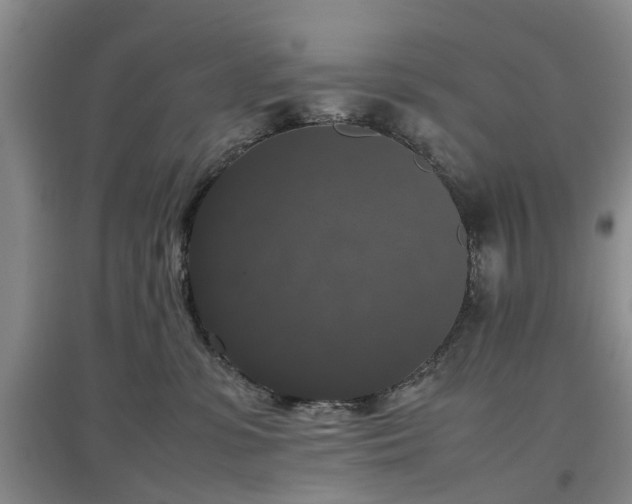 X0000097000331200802151419