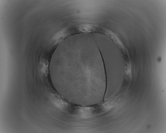 X0000097000332200802151419