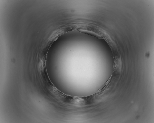X0000097000333200802151419