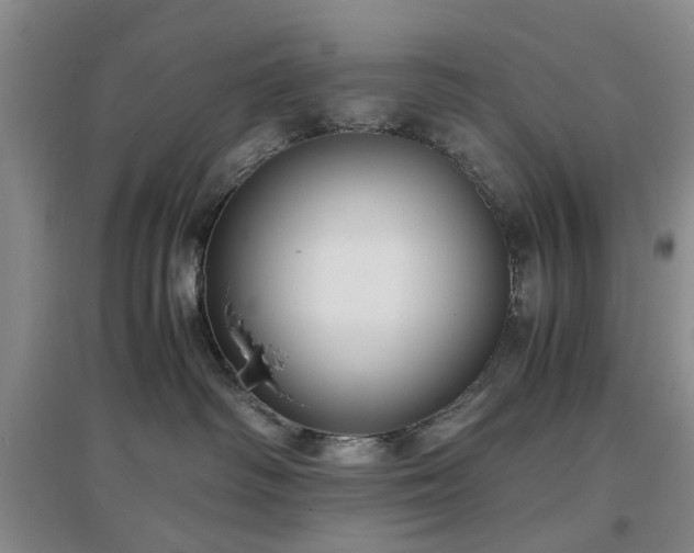 X0000097000334200802151419
