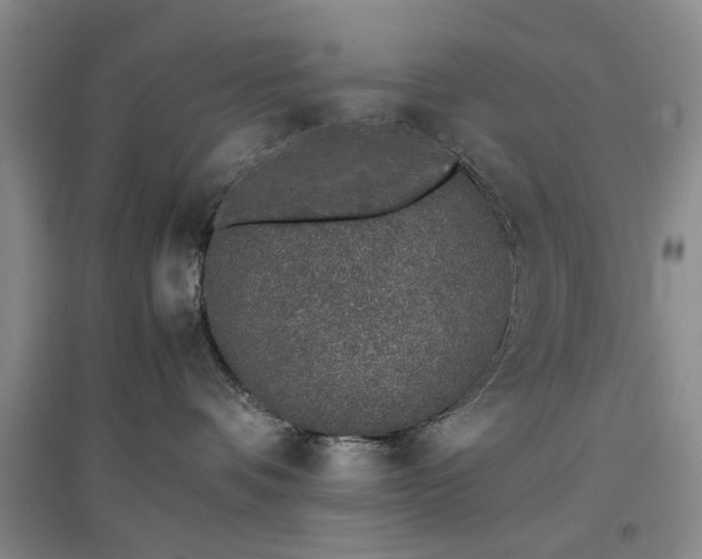 X0000097000336200802151419