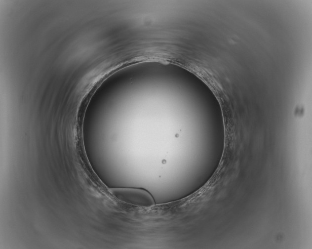 X0000097000338200802151419