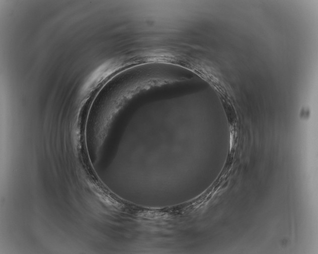 X0000097000339200802151419