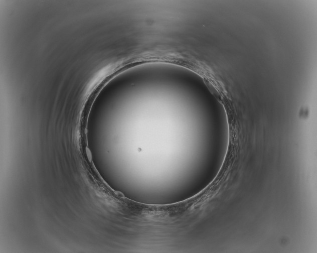 X0000097000340200802151419