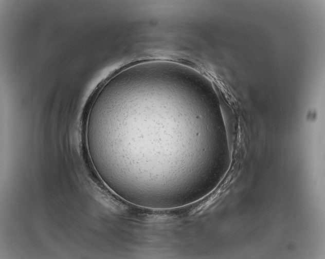 X0000097000342200802151419
