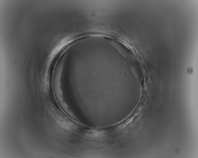 X0000097000343200802151419