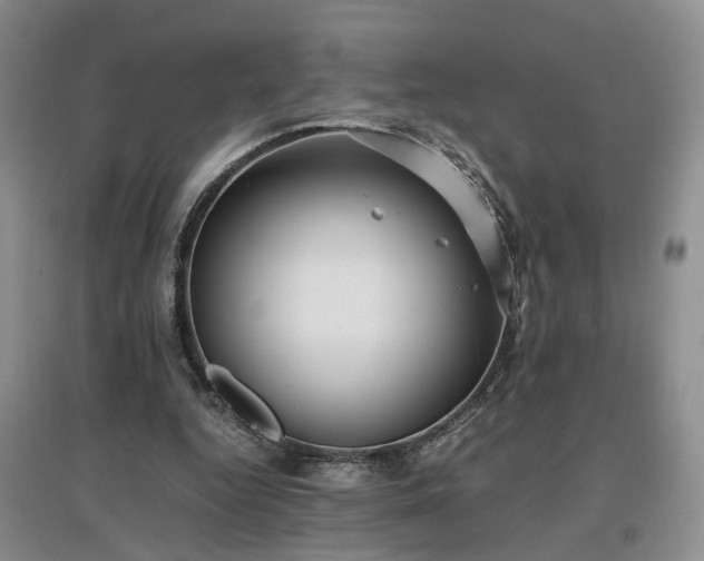 X0000097000344200802151419