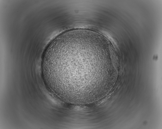 X0000097000346200802151419